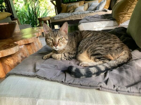 GP_Linda-Abbey_Food-9