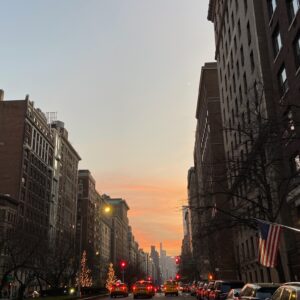 Great-Performances_Covid-Reflection_credit-Liz-Neumark_New-York-City-Dusk