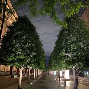 Great-Performances_Covid-Reflection_credit-Liz-Neumark_Quiet-Streets-Night-2
