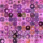 This is test image 3 in thumbnail